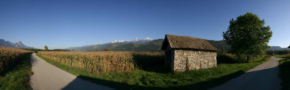 Panorama